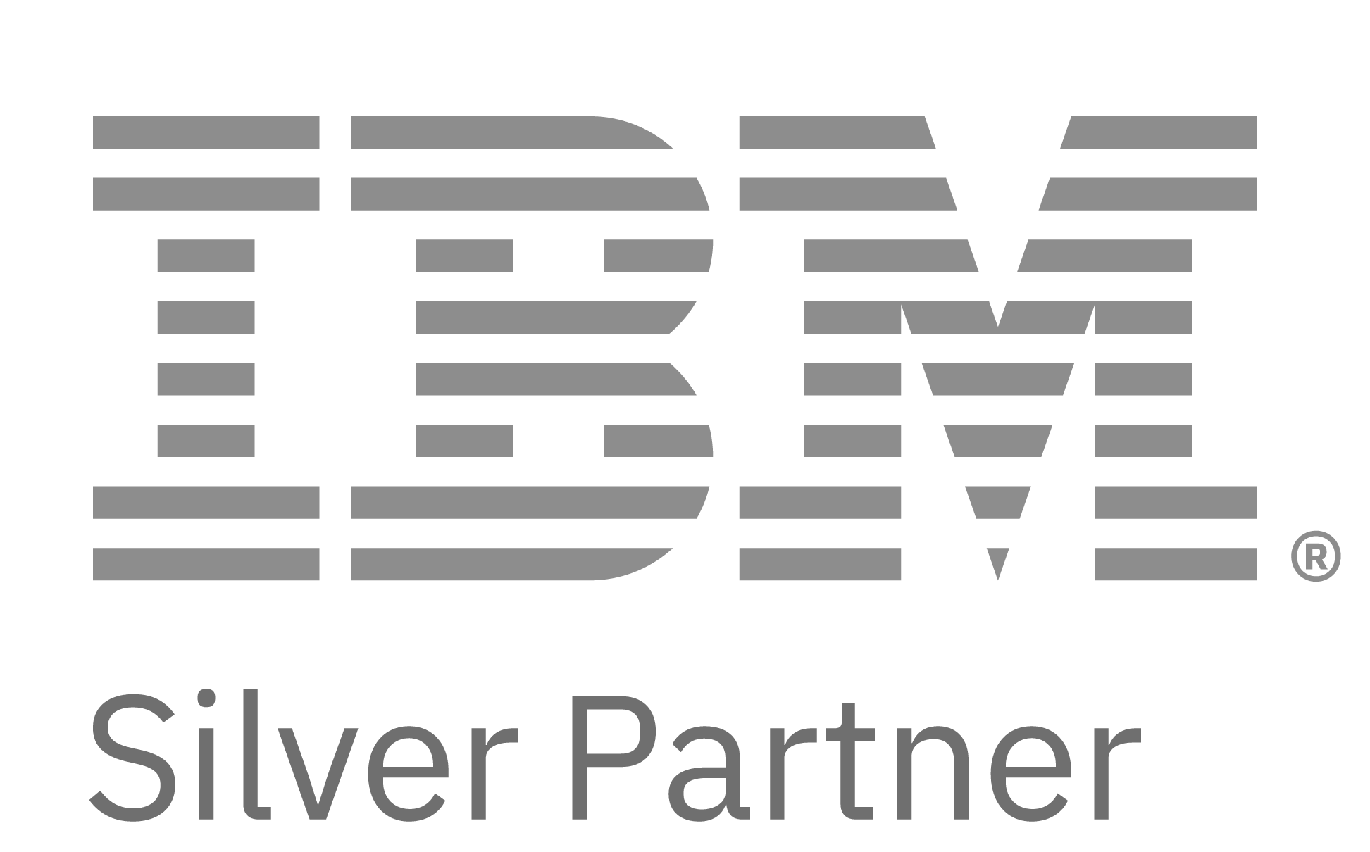 IBM Silver Partner